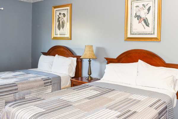 2 Double Beds Nonsmoking Kitchen Suite Photo 1